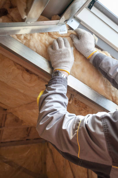 Best Professional Insulation Contractor  in Inez, TX