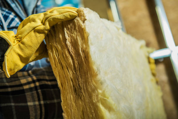 Best Garage Insulation Installation  in Inez, TX