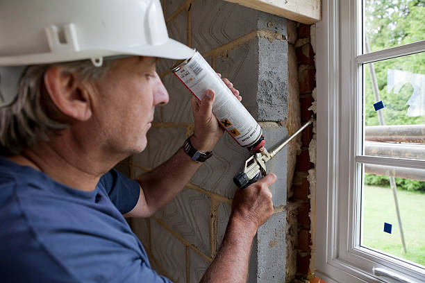 Best Insulation Repair Services  in Inez, TX