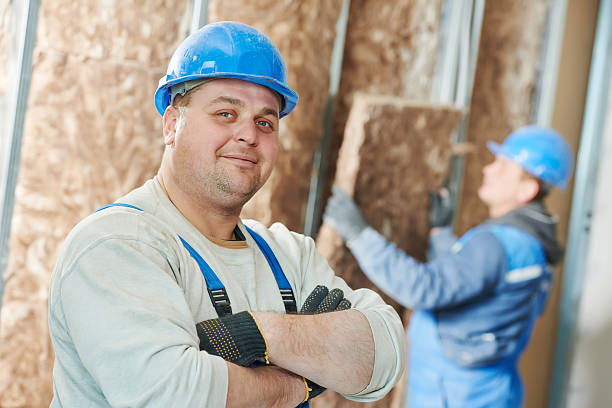 Best Fiberglass Insulation  in Inez, TX